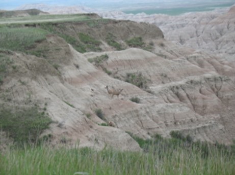 Badlands of South Dakota